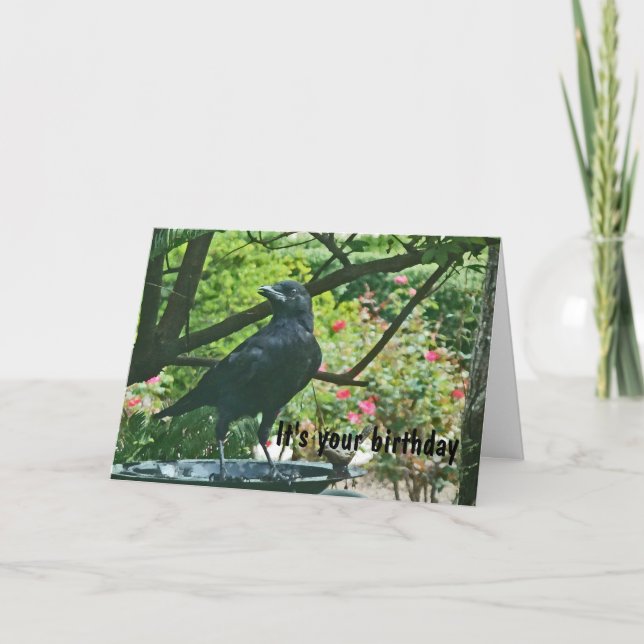 BT- Funy Crow Birthday Card (Front)