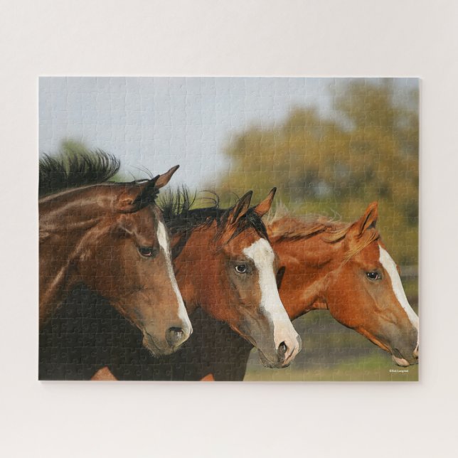 BThree Quarter Horses Running Headshots Jigsaw Puzzle (Horizontal)