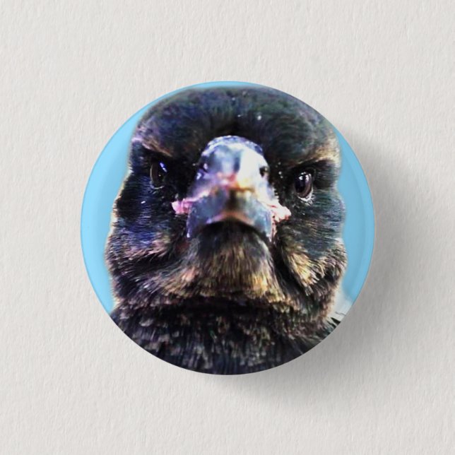 Bub the Australian Rescued Magpie 3 Cm Round Badge (Front)