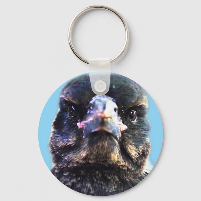 Bub the Australian Rescued Magpie Key Ring (Front)
