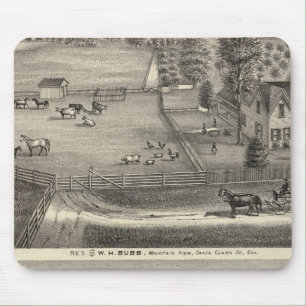 Bubb residences mouse pad