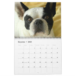 Bubba Louie 2020 Calendar