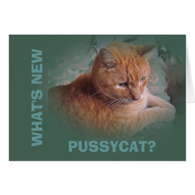 Bubba the Orange Tabby Tomcat (Front Horizontal)