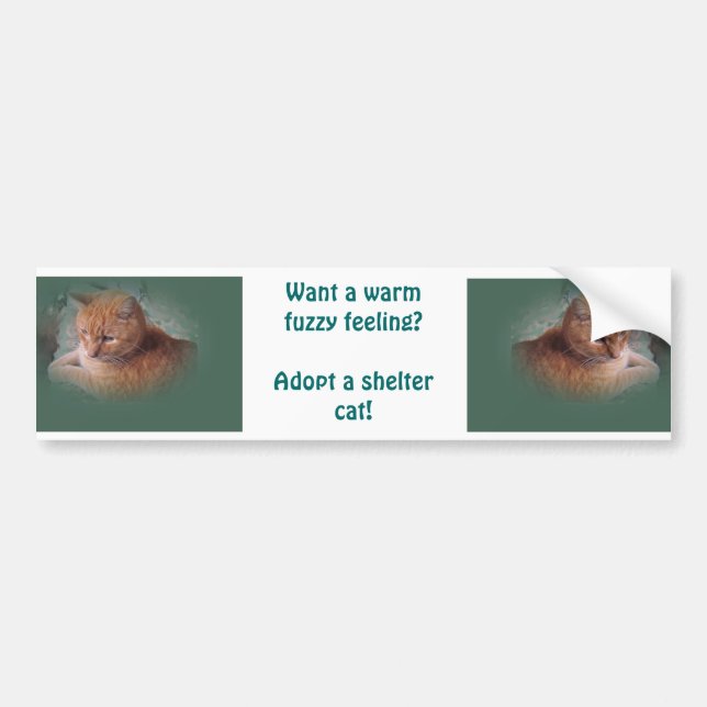 Bubba the Orange Tabby Tomcat Bumper Sticker (Front)
