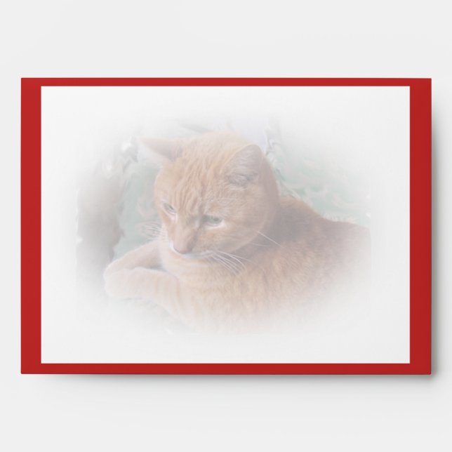 Bubba the Orange Tabby Tomcat Valentine Envelope (Front)