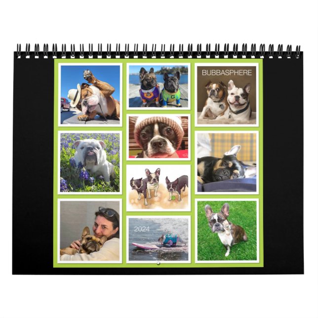 Bubbasphere 2024 calendar (Cover)