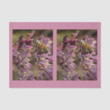 Bubble Bees Tissue Paper