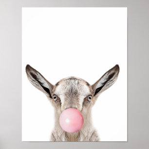 Bubble Gum Goat Wall Print