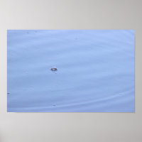 Bubble in Pond Poster