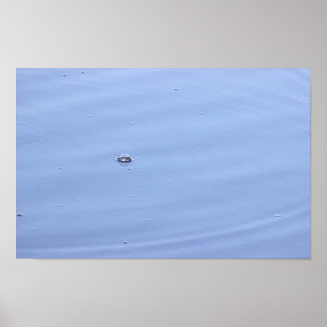 Bubble in Pond Poster (Front)