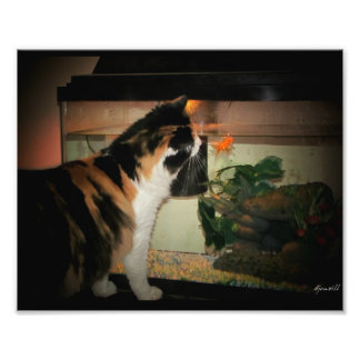 Bubble Kiss Photo Print