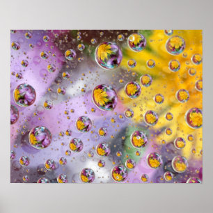 Bubbles abstract with flowers. Credit as: Nancy Poster
