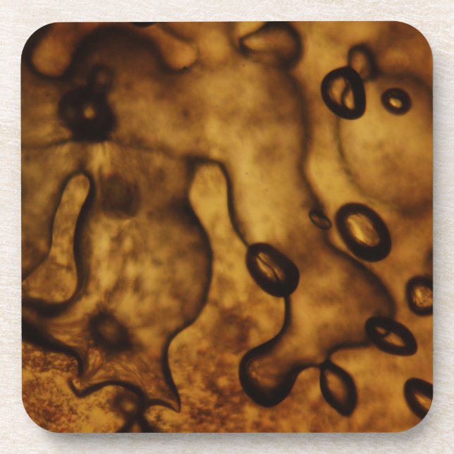 Bubbles Frozen in Amber Coaster (Front)