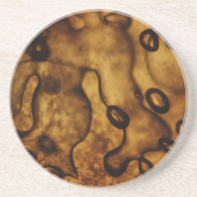 Bubbles Frozen in Amber Coaster (Front)