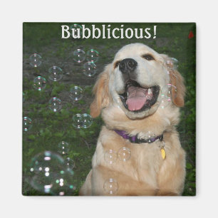 Bubblicious Golden Retriever Puppy Magnet