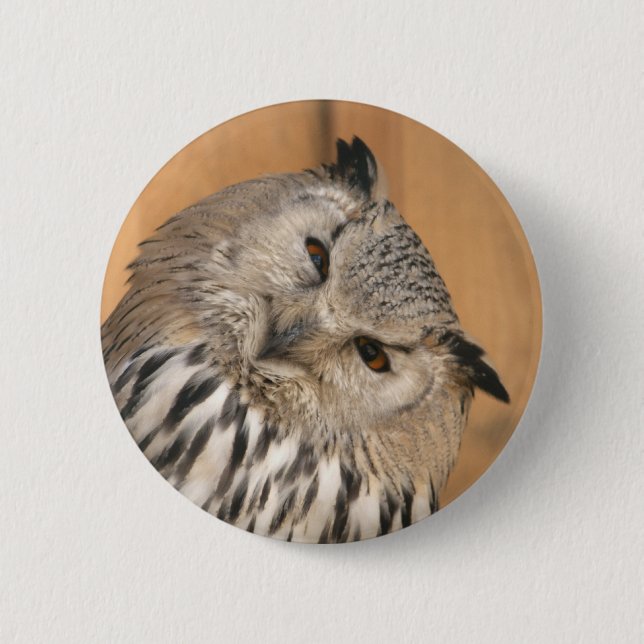 Bubo bubo sibiricus 6 cm round badge (Front)