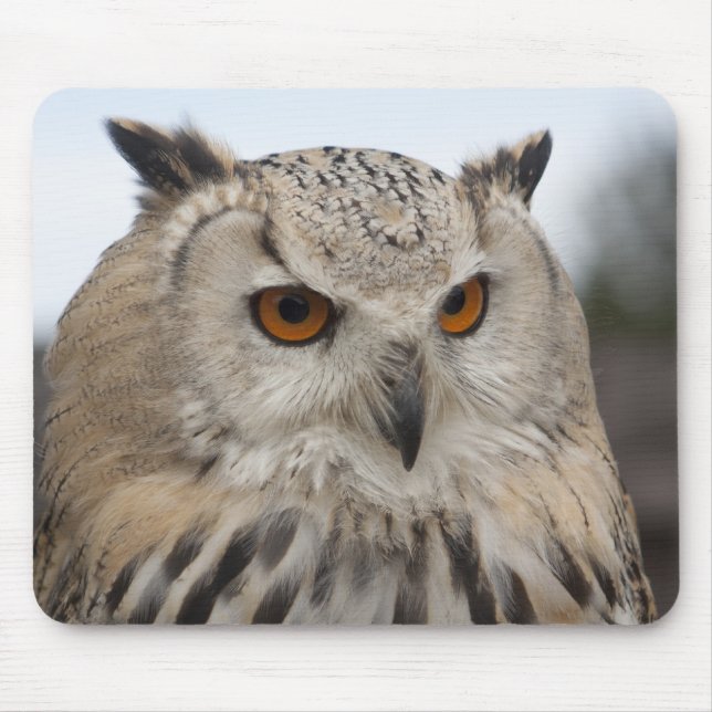 Bubo bubo sibiricus mouse pad (Front)