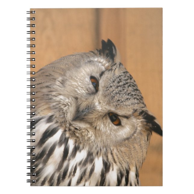 Bubo bubo sibiricus notebook (Front)