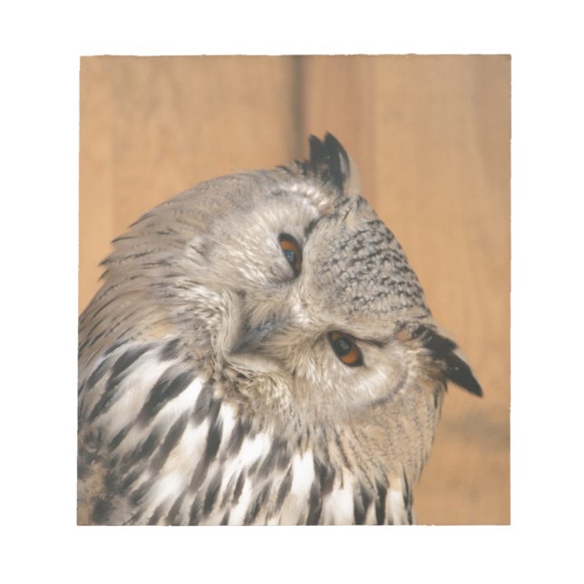 Bubo bubo sibiricus notepad (Front)