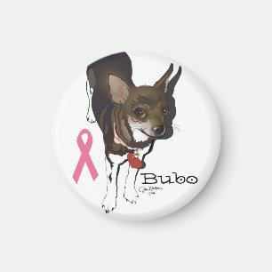 Bubo, the chihuahua magnet