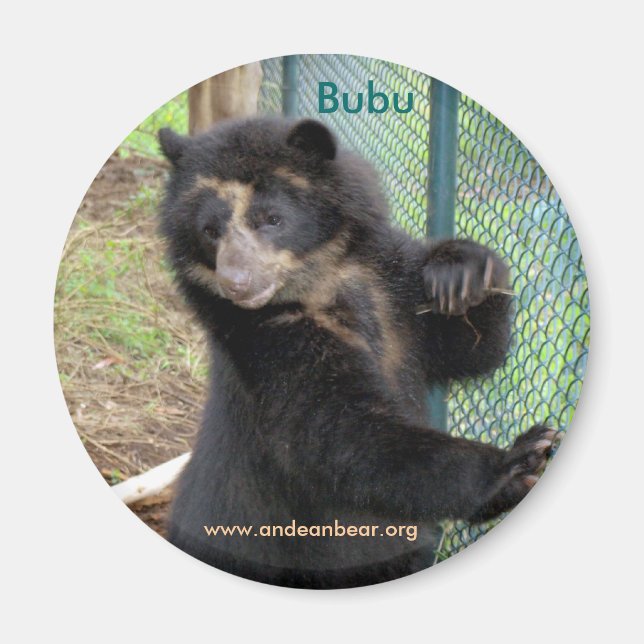 Bubu Andean Bear Magnet (Front)