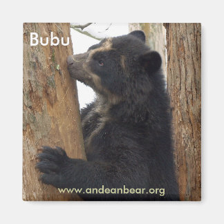 Bubu bear magnet