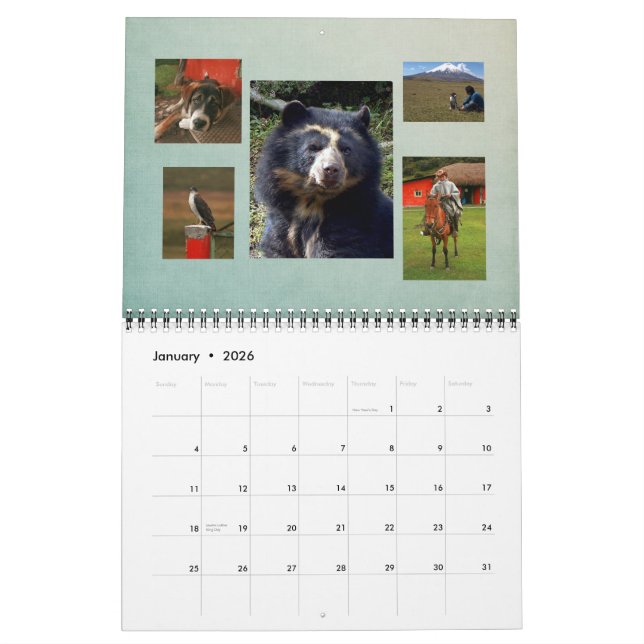 Bubu Calendar 2011 (Jan 2026)