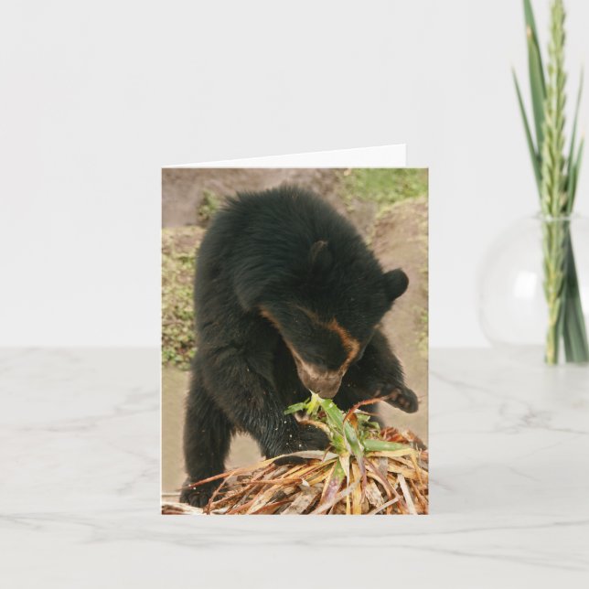 Bubu Notecard PB1 (Front)