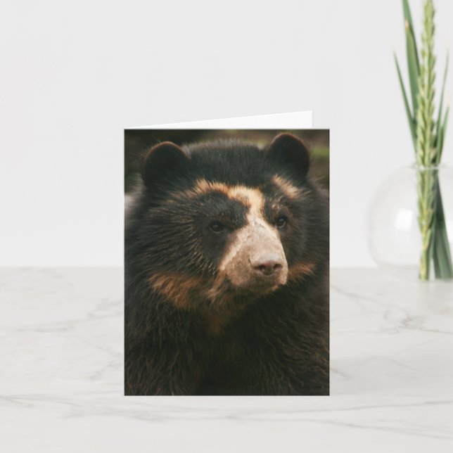 Bubu Notecard PB3 (Front)