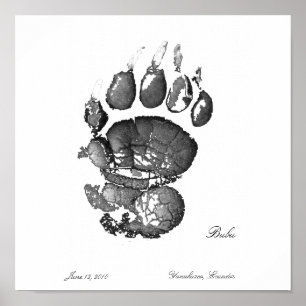 Bubu Pawprint Poster