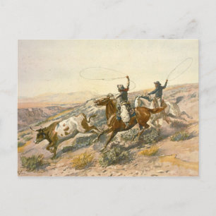 Buccaroos by Charles Marion Russell Postcard