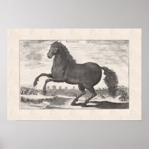 Bucephalus, Alexander the Great's Favourite Horse Poster