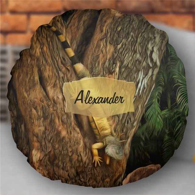 Bucerias Iguana 1069 Round Cushion (Creator Uploaded)