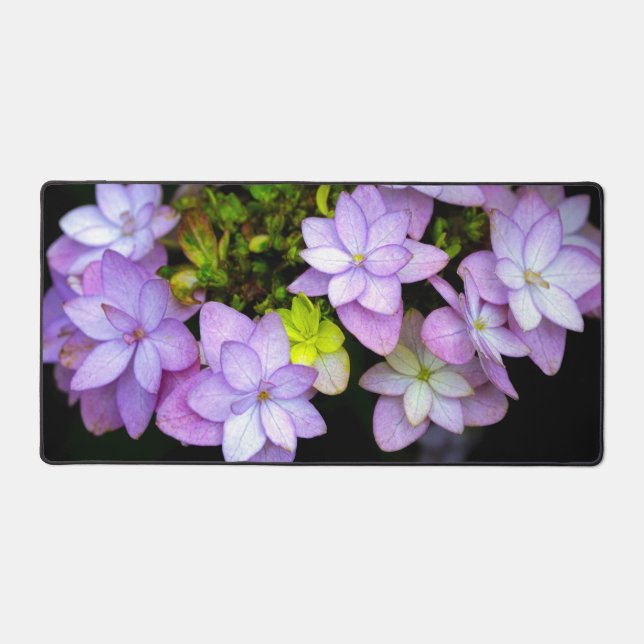 Buch of Many Petaled Purple Flowers Desk Mat (Front)