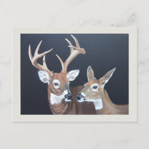 Buck and Doe Whitetail Deer Painting Postcard