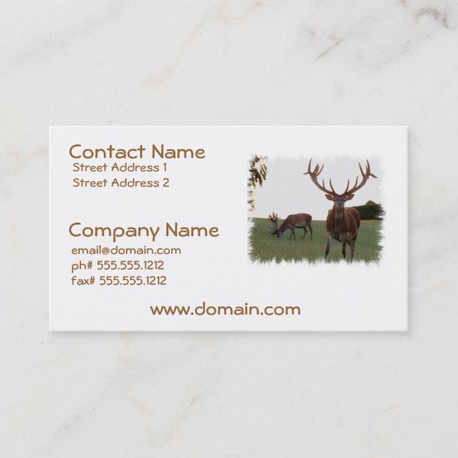 Buck Business Cards (Front)