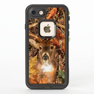 Buck Camouflage White Tail Deer on a