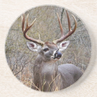 Buck Coaster