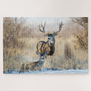 Buck Couple   Mule Deer Jigsaw Puzzle