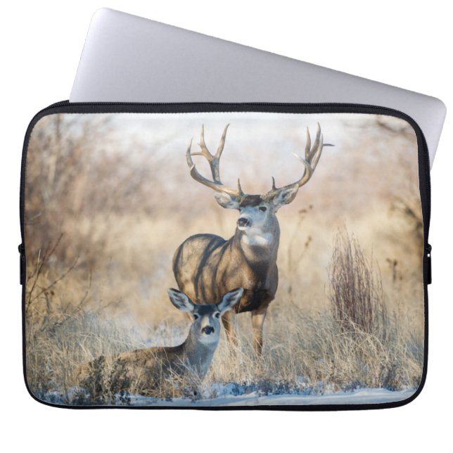 Buck Couple | Mule Deer Laptop Sleeve (Front)