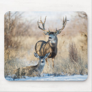 Buck Couple   Mule Deer Mouse Pad