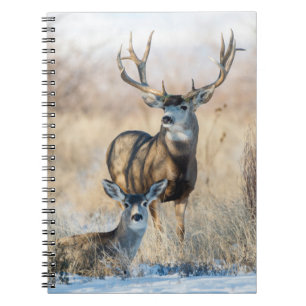Buck Couple Mule Deer Notebook