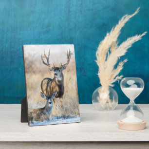 Buck Couple   Mule Deer Plaque