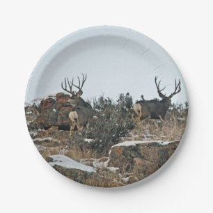 Buck deer first snow paper plate