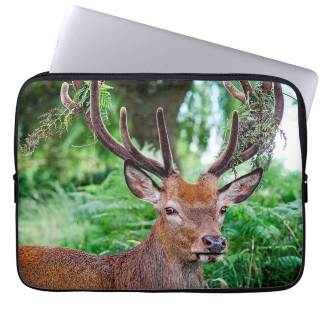 Buck Deer Laptop Sleeve (Front)
