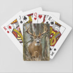 Buck Deer Playing Cards<br><div class="desc">Buck Deer Playing Cards</div>