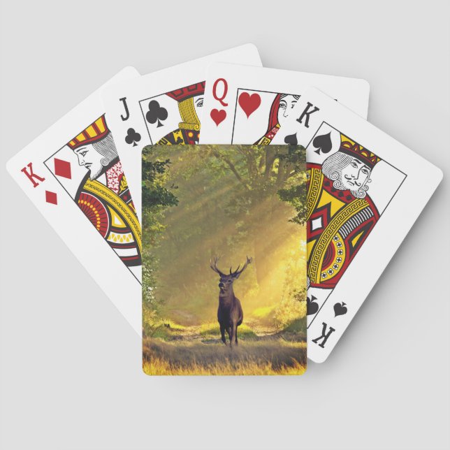 buck Deer Playing Cards (Back)