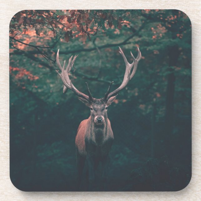 Buck Deer Wild Animal Coaster (Front)