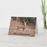 Buck Deer Wild Animal Lover or Hunter Birthday