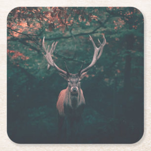 Buck Deer Wild Animal Square Paper Coaster